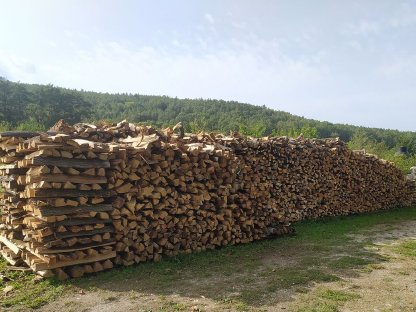 Bild 4:Brennholz Eiche/Kastanie/Akazie/Buche/Kiefer/Fichte