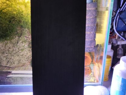 Bild 5:Aquarium mit kompletter Deko, Filter, Füllspektrum, Lampe