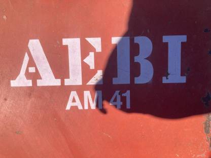 Bild 6:AEBI AM 41 Eingrasmäher