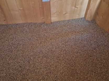 Bild 2:Bio-Futterroggen zu verkaufen – Ernte 2025