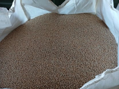 Körnererbse Ernte 2025 in BigBags zu verkaufen