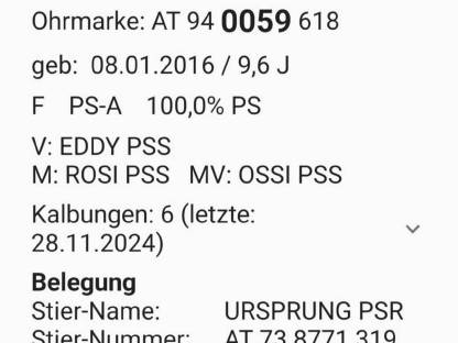 Bild 7:Pustertaler Sprinzenkuh