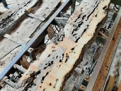 Bild 2:Esche Pfosten