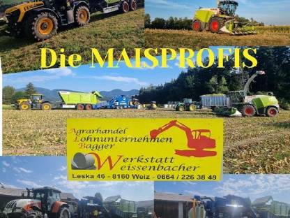 Bild 4:Maisballenpressen Häckseln Maisballen