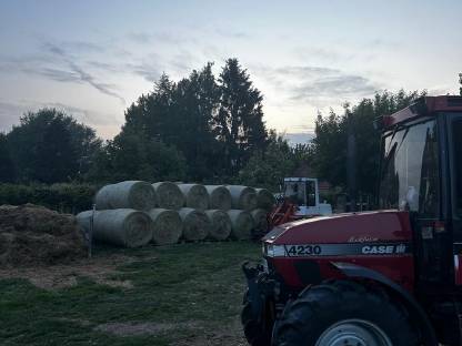 Bild 2:Heu 1. Schnitt