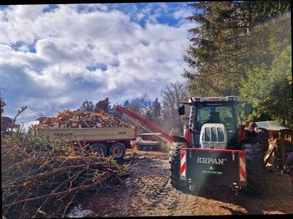 Bild 3:Lohnschneiden Brennholz