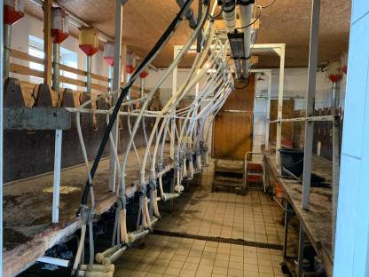 Bild 2:Melkanlage für Ziegen