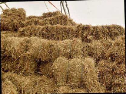Bild 2:Heuballen