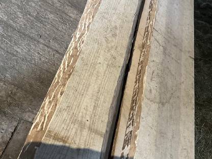 Bild 2:Eschen Pfosten Holz