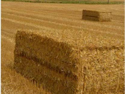 Bild 2:Haferstroh