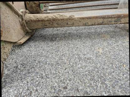 Bild 6:Wühlmaus Zwiebelroder