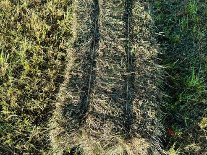 Bild 2:Heuballen klein