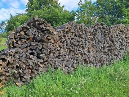 Bild 2:Brennholz weich