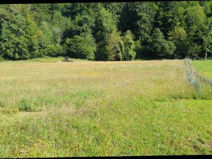 Bild 4:Wir mähen für euch