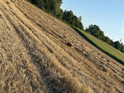 Bild 4:Verkaufe kleine eckige Strohballen