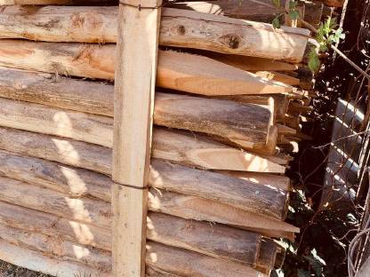 Bild 6:Akazienpfähle, Akazien Robinienpfähle, Weidezaun, Zaunpfähle