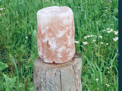 Bild 2:Wildsalz, Wild Salz, Wild Leckstein, Bergkern, Lecksteine