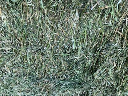 Bild 7:Luzernesilageballen