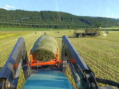 Bild 5:Siloballen Klee Ackerklee Bio