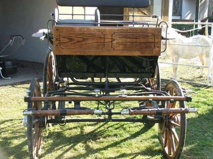 Bild 4:Marathonwagen und Dressurkutsche