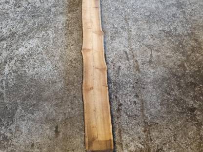 Bild 2:Lärchensäulen