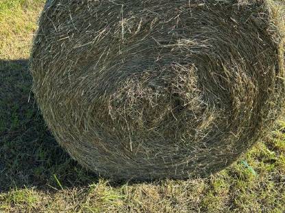 Bild 3:Reserviert Heurundballen 2. Schnitt 2025