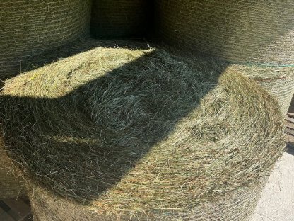 Bild 2:BIO HEU/Grummet Rundballen