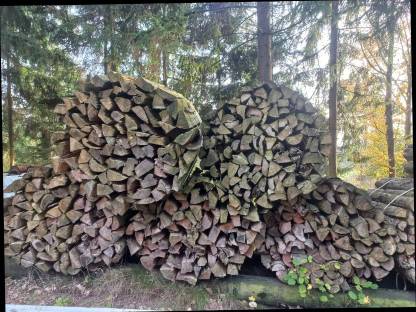 Bild 5:Brennholz