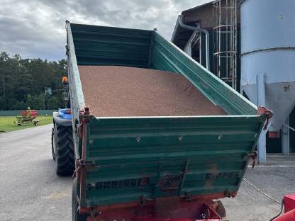 Bild 6:Bio-Ölrettich