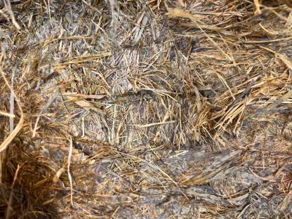 Bild 3:Silageballen 1. Schnitt mit 32 Messern