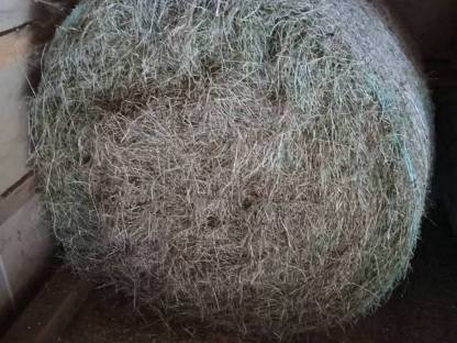 Heu- bzw. Grummet-Ballen