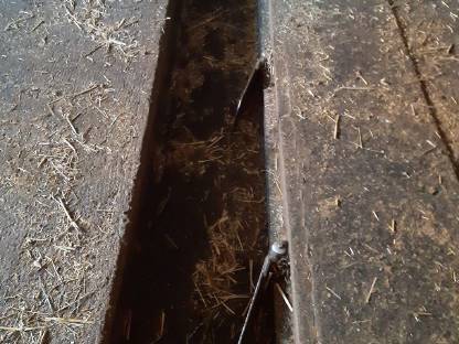 Bild 3:Verkaufe Schauer Hochförderer Mistbahn Entmistung Hydro 800