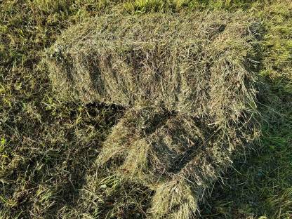 Bild 3:Heuballen klein