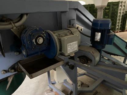 Bild 5:Roda automatischer Kistenfüller für Obst und Gemüse