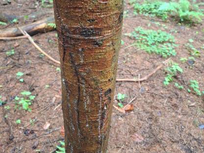 Bild 3:Plastiktonnen