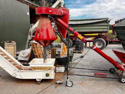 Bild 5:Bio-Ölrettich