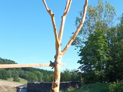 Bild 3:Unikat der Natur