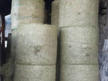 Bild 5:Heuballen günstig