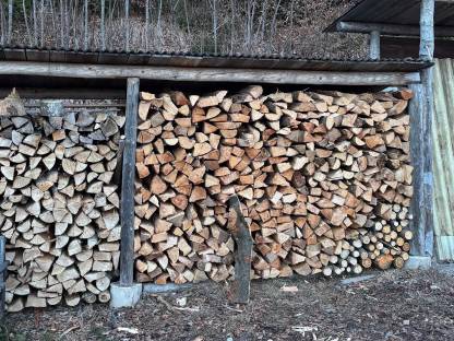 Brennholz Buche Meterscheiter