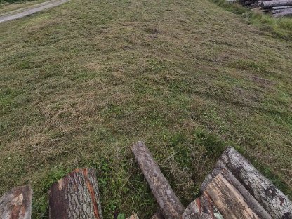 Bild 4:Mulcharbeiten Mulchraupe Mulcher