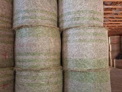 Bild 3:Siloballen und Heuballen