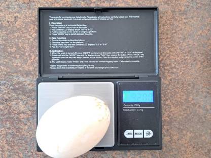 Bild 4:Rouen Clair Enten und Eier