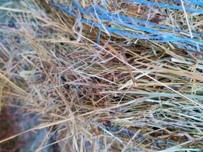 Bild 2:Heuballen, Voitsberg