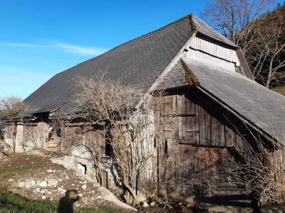 Bild 3:Stadl, Stall, Altholz, Gebäude, Abbau, Abriß