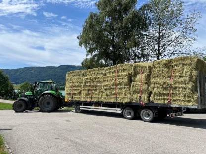 Bild 4:Heu 2025