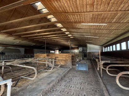Bild 3:Verpachte Bauernhof, Stallungen für Kühe, Pferde, etc.
