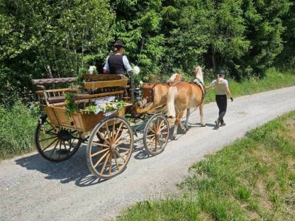 Bild 4:Kutsche Wagonette