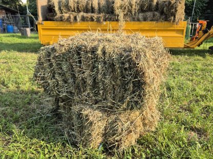 Bild 4:Kleine Heuballen, Quader-Heuballen, Ernte August 2025