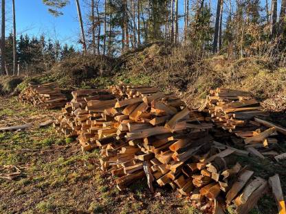 Bild 2:Brennholz, Ofenholz