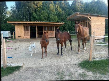 Bild 2:Box frei ab Oktober